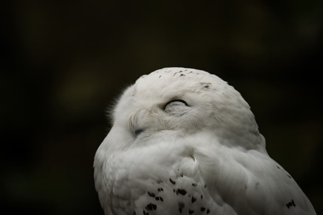 青城灯火里的老街新韵